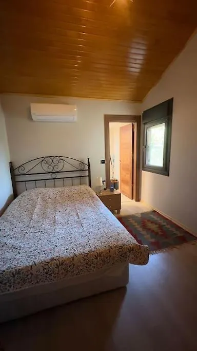 Escape To The Peaceful Countryside Villa Istanbul Turkey