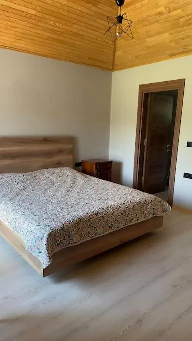 Escape To The Peaceful Countryside Villa Istanbul Turkiet