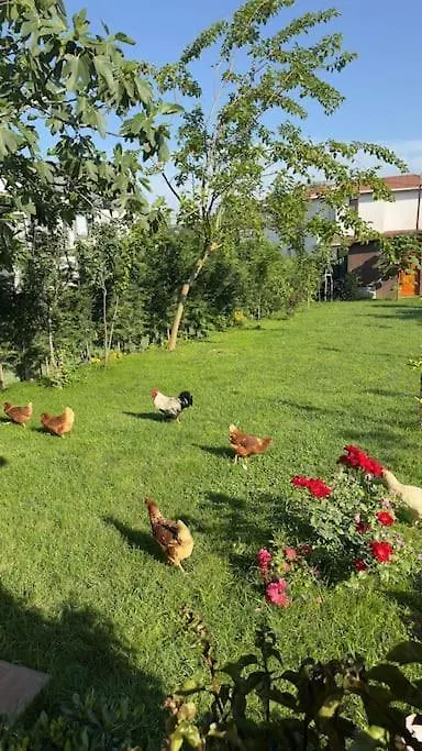 Escape To The Peaceful Countryside Villa Istanbul 0*,